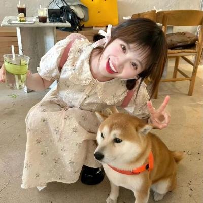 睡莲